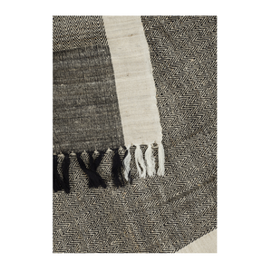 Beige Wool Silk Shawl-parinitasarees