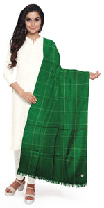 Emerald Green GI Certified Pashmina with Check Blocks-Scarves-parinitasarees