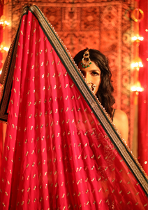 The mesmerizing allure of red sarees
